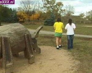 Tienertjes gaan los in het park en thuis